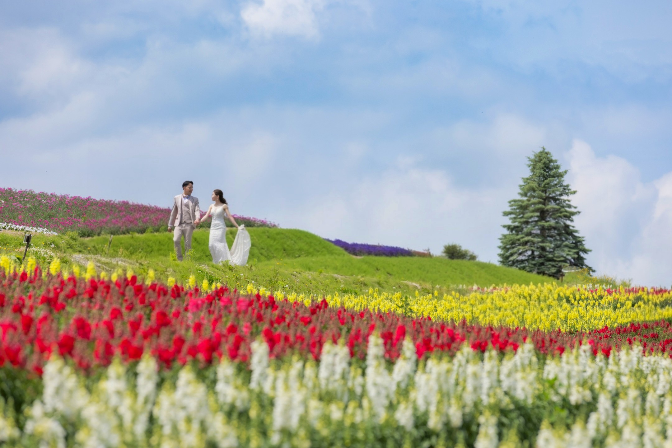 Wedding memory
