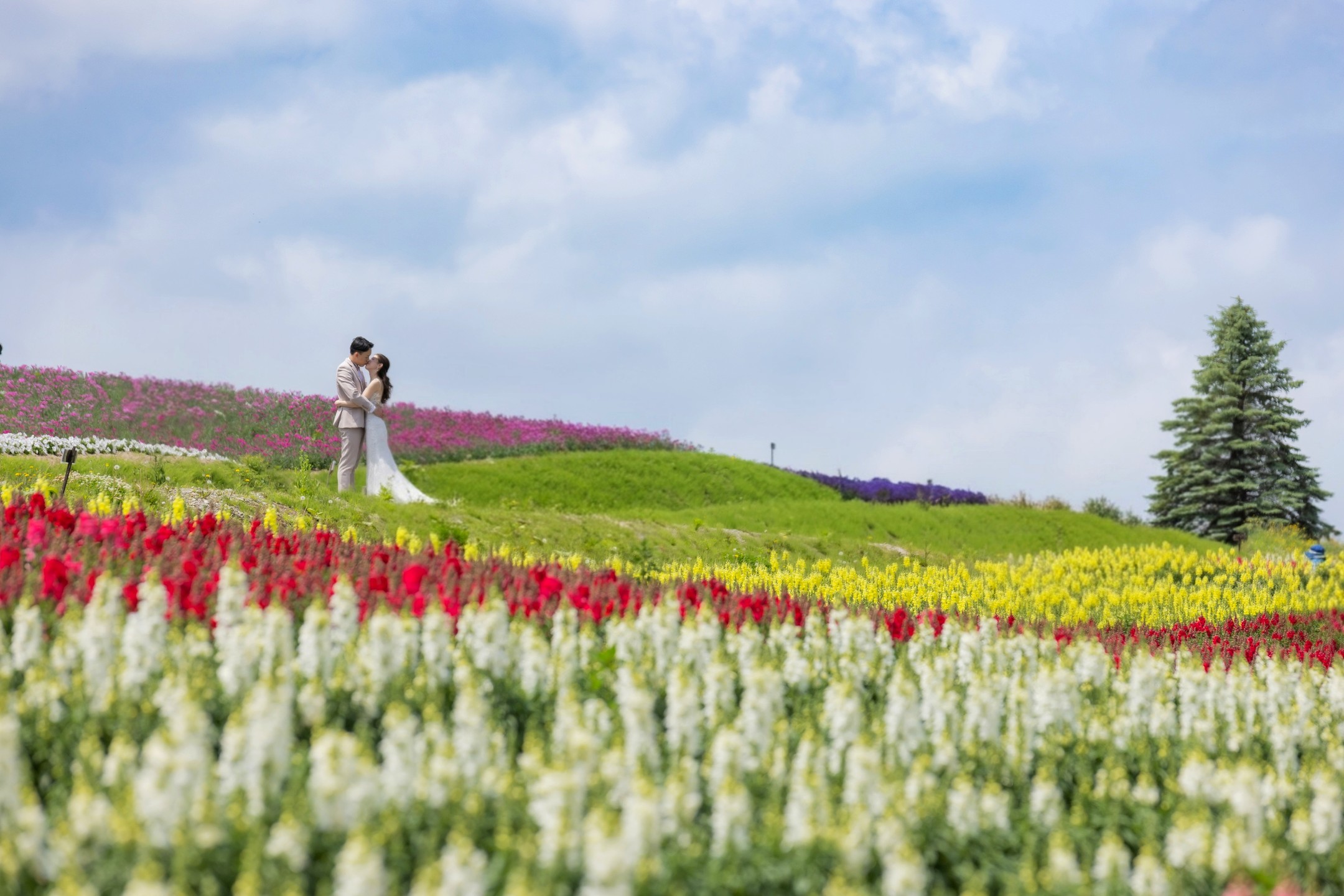 Wedding memory